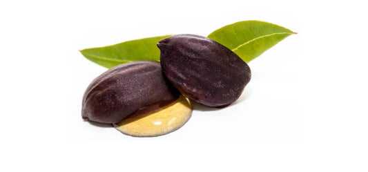 CERAMIDAS, la clave para una piel deslumbrante