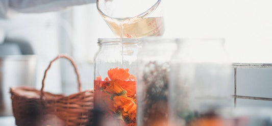 Abriendo nuestro primer laboratorio en Pichilemu