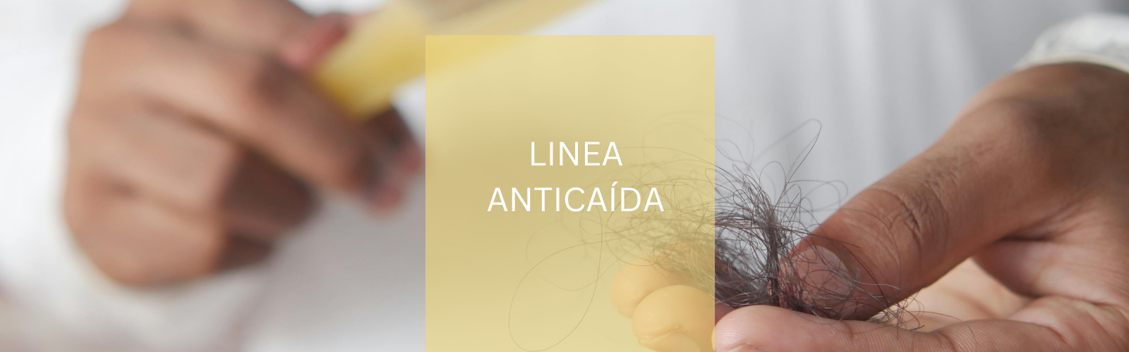 Linea Anticaida capilar
