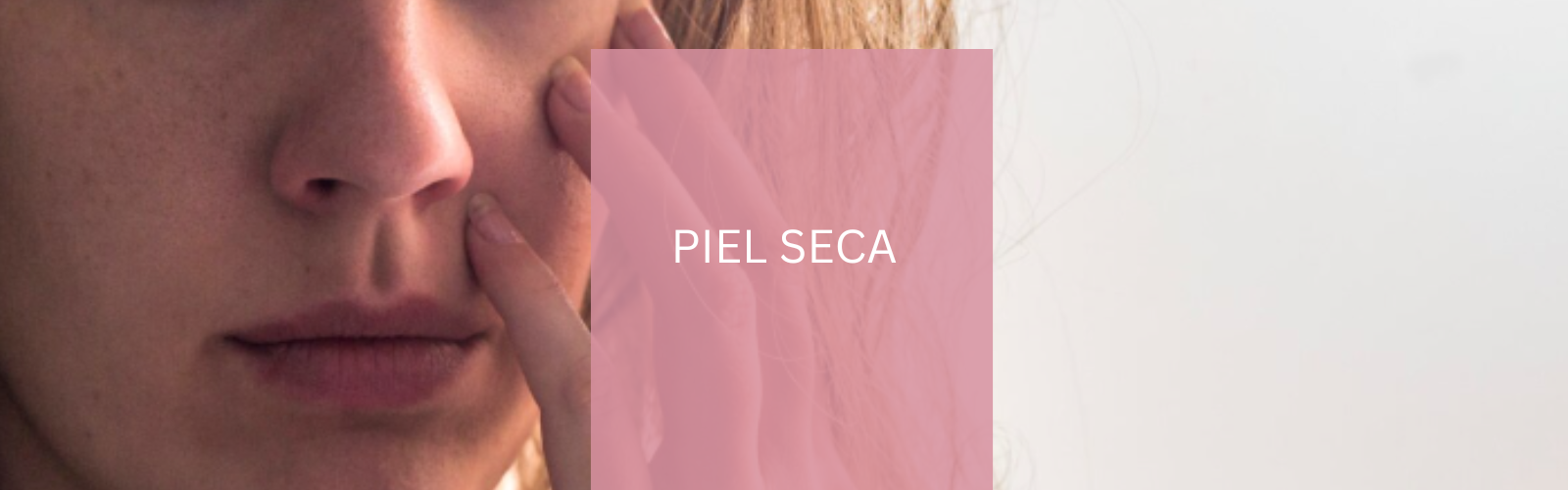 Piel Seca