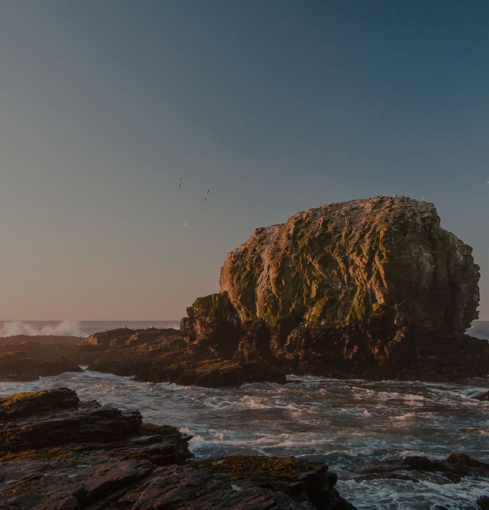 wed.jpg__PID:0b1be9ce-ea4f-4467-9f48-599c7c17db91