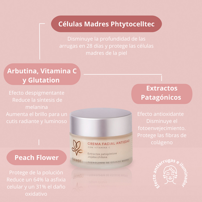 Copia de Pack Tratamiento Concentrado Antiedad - Newen Cosmetica