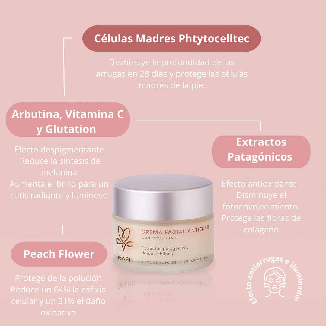 Pack Revive tu piel mixta/grasa + EXFOLIANTE LABIAL DE REGALO 🎁 - Newen Cosmetica