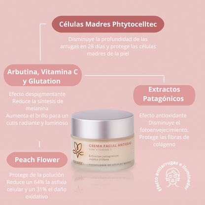 Pack Revive tu piel mixta/grasa + EXFOLIANTE LABIAL DE REGALO 🎁 - Newen Cosmetica